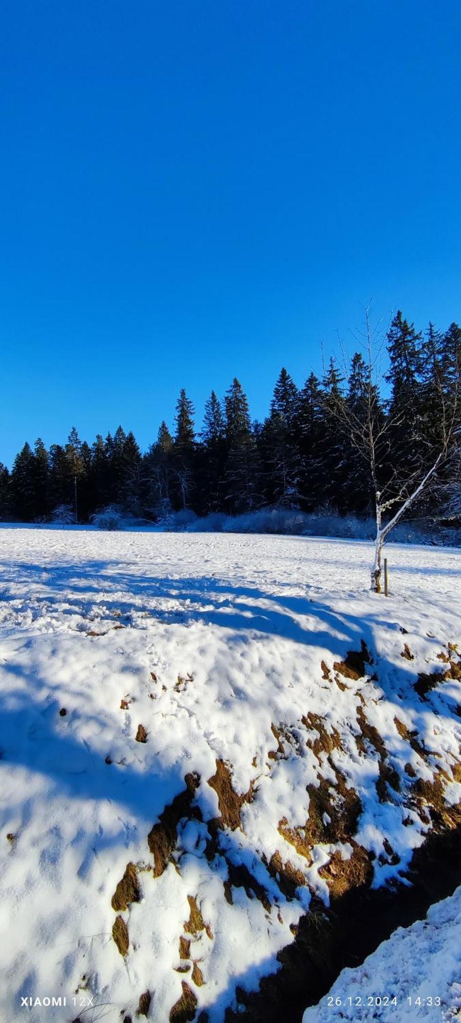 Schicke Ferien Wohnung Mit Tollem Ausblick In Schwarzwald. Villingen-Schwenningen Exteriér fotografie